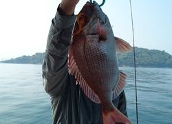 愛裕南丸 釣果