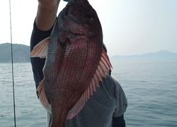 愛裕南丸 釣果