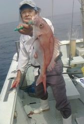 桃太郎丸 釣果