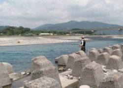 大井川(大井川(非)漁業協同組合) 釣果