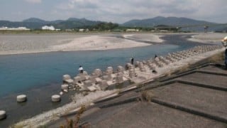 大井川(大井川(非)漁業協同組合) 釣果