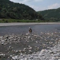 大井川(大井川(非)漁業協同組合) 釣果
