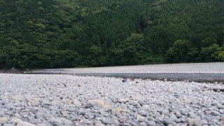 大井川(大井川(非)漁業協同組合) 釣果