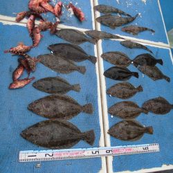 十八宝洋丸 釣果