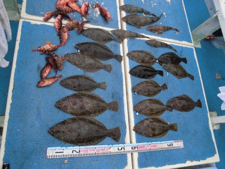 十八宝洋丸 釣果