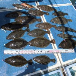 十八宝洋丸 釣果