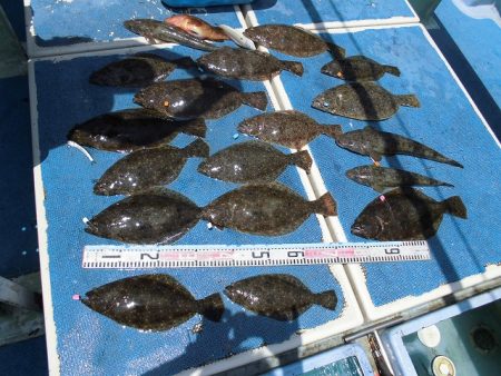 十八宝洋丸 釣果