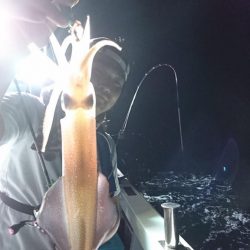 海龍丸（福岡） 釣果