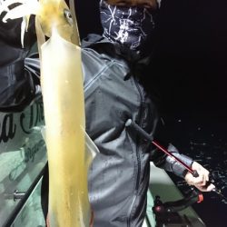 海龍丸（福岡） 釣果