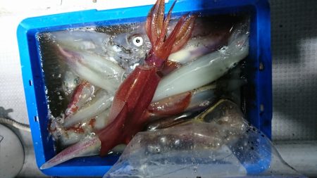 海龍丸（福岡） 釣果