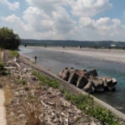 大井川(大井川(非)漁業協同組合) 釣果