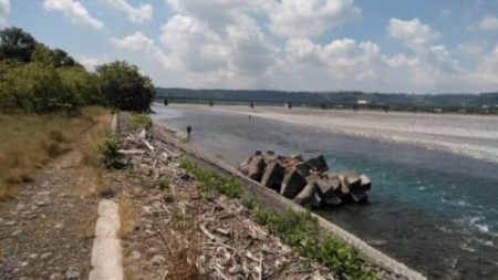 大井川（大井川(非)漁業協同組合） 釣果