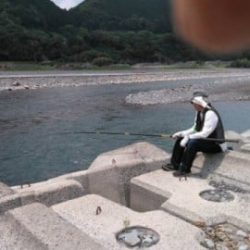 大井川(大井川(非)漁業協同組合) 釣果