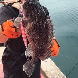 第八平成丸 釣果