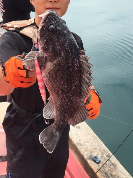 第八平成丸 釣果