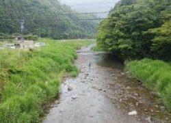 大井川(大井川(非)漁業協同組合) 釣果