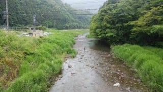 大井川(大井川(非)漁業協同組合) 釣果