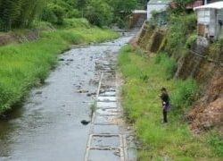 大井川(大井川(非)漁業協同組合) 釣果