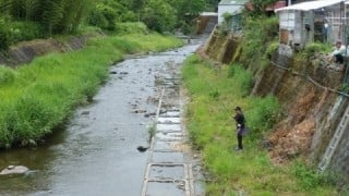 大井川(大井川(非)漁業協同組合) 釣果