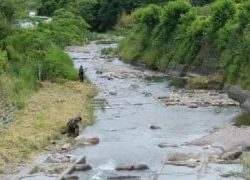 大井川(大井川(非)漁業協同組合) 釣果