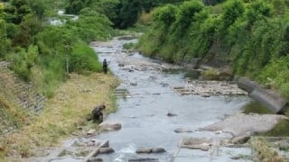 大井川(大井川(非)漁業協同組合) 釣果