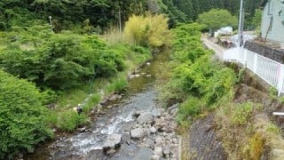 大井川(大井川(非)漁業協同組合) 釣果