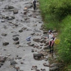 大井川(大井川(非)漁業協同組合) 釣果