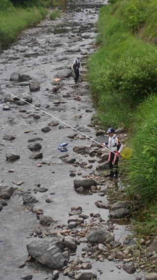 大井川(大井川(非)漁業協同組合) 釣果