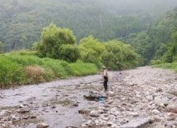 大井川(大井川(非)漁業協同組合) 釣果