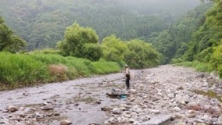 大井川(大井川(非)漁業協同組合) 釣果