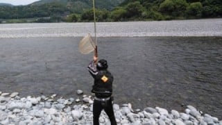 大井川(大井川(非)漁業協同組合) 釣果