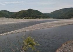 大井川(大井川(非)漁業協同組合) 釣果