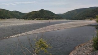 大井川(大井川(非)漁業協同組合) 釣果