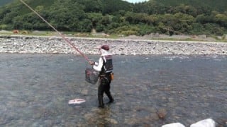 大井川(大井川(非)漁業協同組合) 釣果