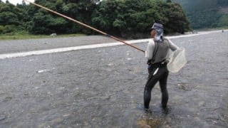 大井川(大井川(非)漁業協同組合) 釣果