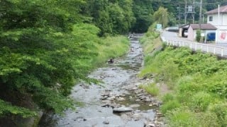 大井川(大井川(非)漁業協同組合) 釣果