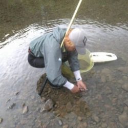 大井川(大井川(非)漁業協同組合) 釣果