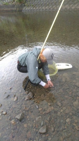 大井川(大井川(非)漁業協同組合) 釣果