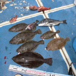 十八宝洋丸 釣果