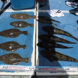 十八宝洋丸 釣果