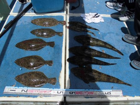 十八宝洋丸 釣果