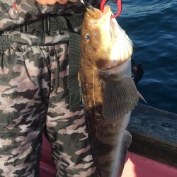 第八平成丸 釣果