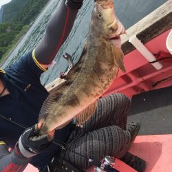 第八平成丸 釣果