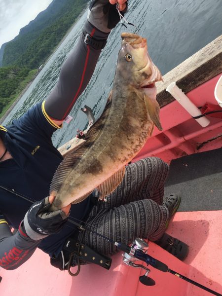 第八平成丸 釣果