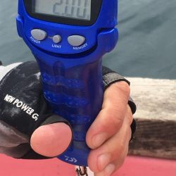 第八平成丸 釣果