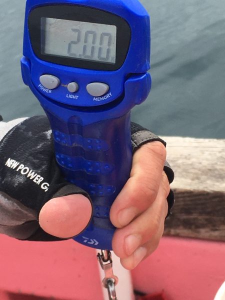 第八平成丸 釣果