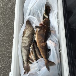 第八平成丸 釣果