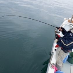 遊漁船 幸友丸 釣果