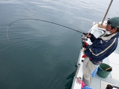 遊漁船 幸友丸 釣果