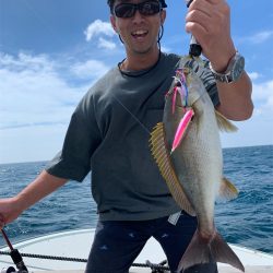 マタウマリンサービス 釣果